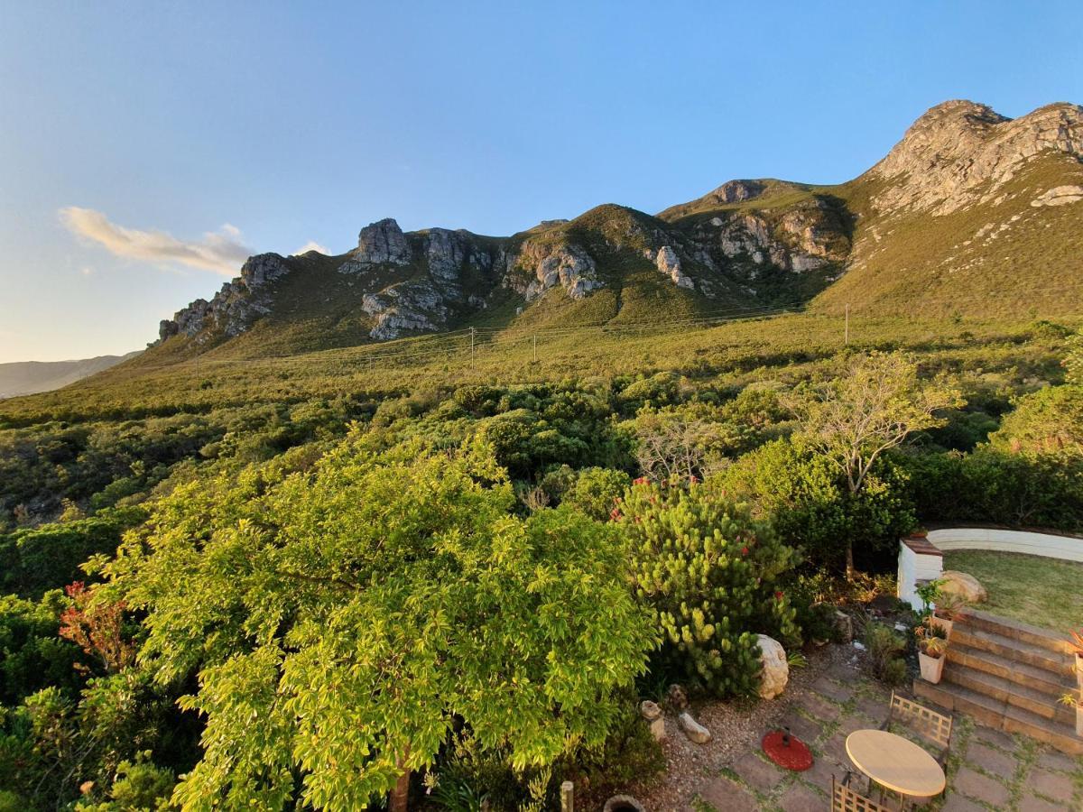 Francolinhof Guest House Hermanus Bagian luar foto